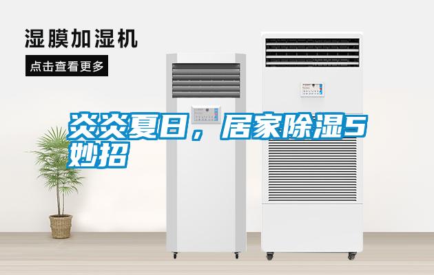 炎炎夏日,居家除濕5妙招