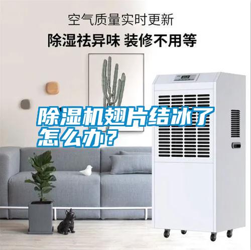 除濕機翅片結冰了怎么辦？