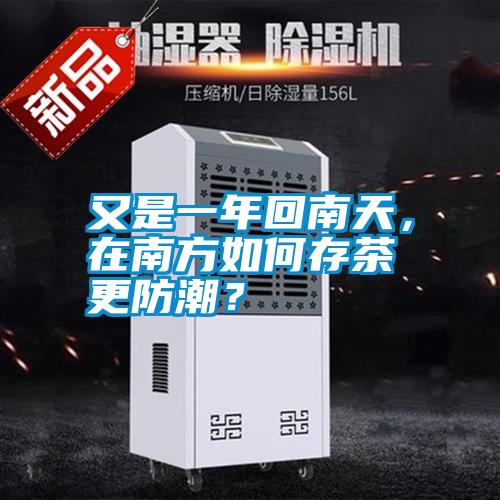 又是一年回南天，在南方如何存茶更防潮？