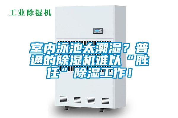 室內(nèi)泳池太潮濕?普通的除濕機(jī)難以“勝任”除濕工作!