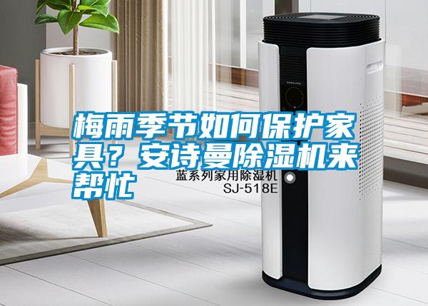 梅雨季節如何保護家具?安詩曼除濕機來幫忙