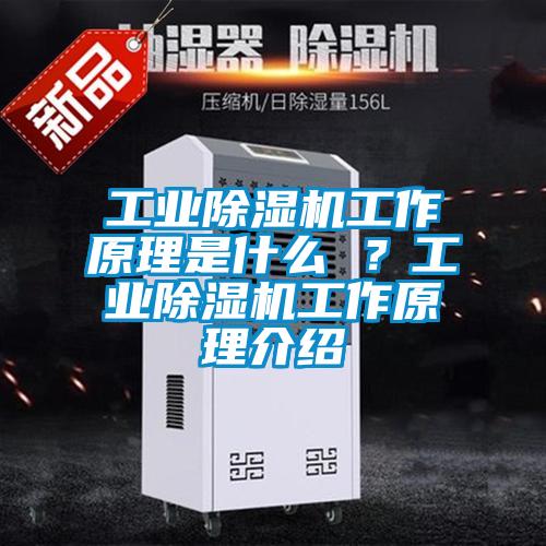 工業(yè)除濕機工作原理是什么 ?工業(yè)除濕機工作原理介紹