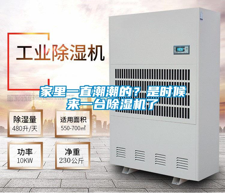 家里一直潮潮的?是時候來一臺除濕機了