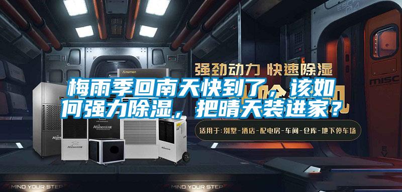 梅雨季回南天快到了,該如何強力除濕,把晴天裝進家?