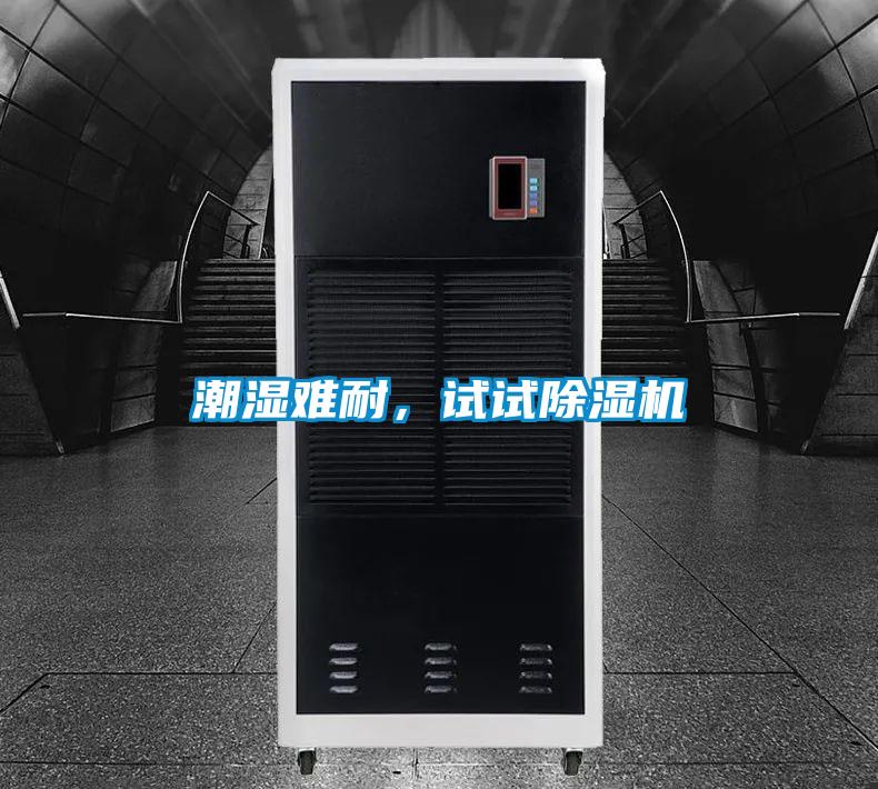 潮濕難耐，試試除濕機(jī)