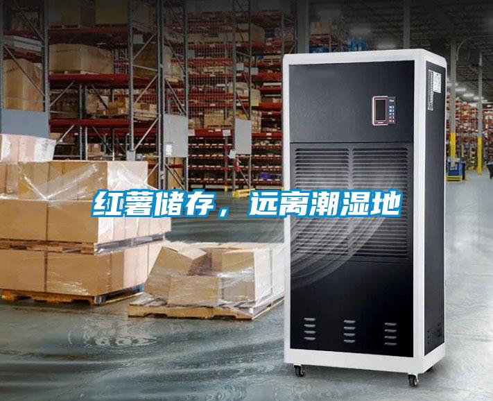 紅薯儲(chǔ)存,遠(yuǎn)離潮濕地