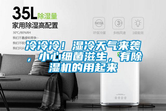 冷冷冷!濕冷天氣來襲,小心細菌滋生,有除濕機的用起來