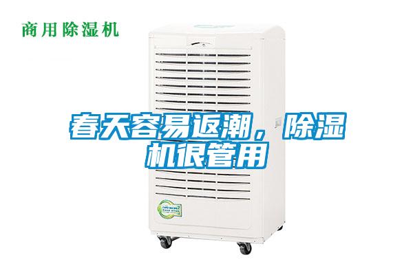 春天容易返潮,除濕機很管用