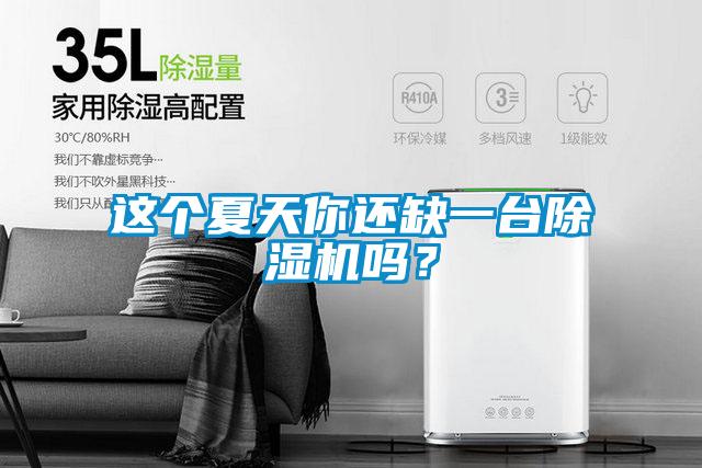 這個夏天你還缺一臺除濕機嗎？