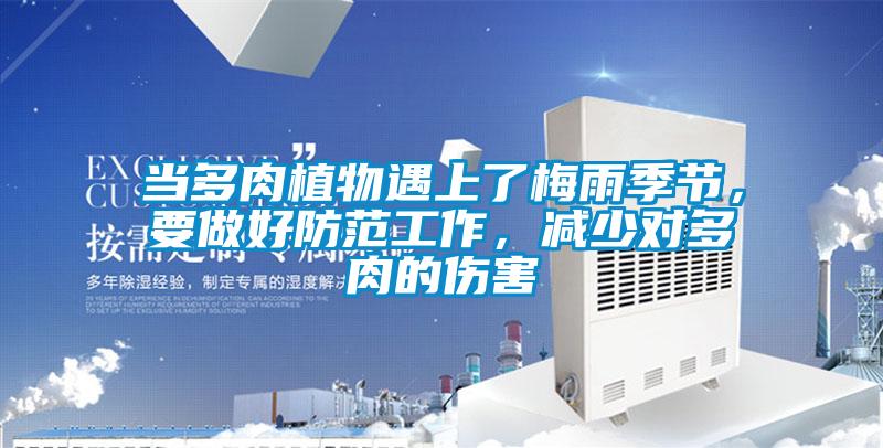 當(dāng)多肉植物遇上了梅雨季節(jié),要做好防范工作,減少對多肉的傷害