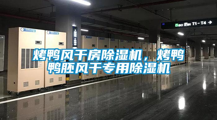 烤鴨風干房除濕機，烤鴨鴨胚風干專用除濕機