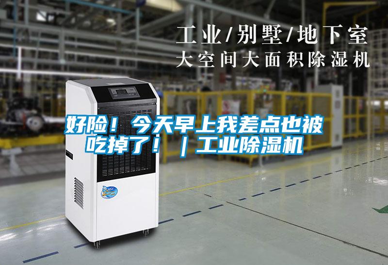 好險(xiǎn)!今天早上我差點(diǎn)也被吃掉了!|工業(yè)除濕機(jī)