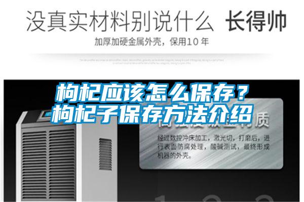 枸杞應(yīng)該怎么保存?枸杞子保存方法介紹