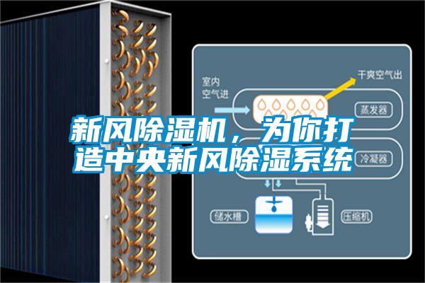 新風(fēng)除濕機,為你打造中央新風(fēng)除濕系統(tǒng)