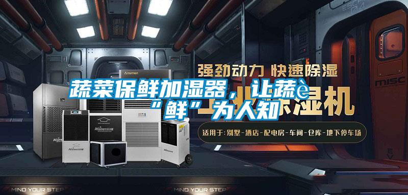 蔬菜保鮮加濕器，讓蔬菜“鮮”為人知