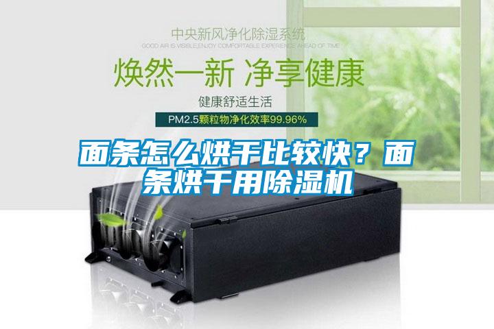 面條怎么烘干比較快？面條烘干用除濕機