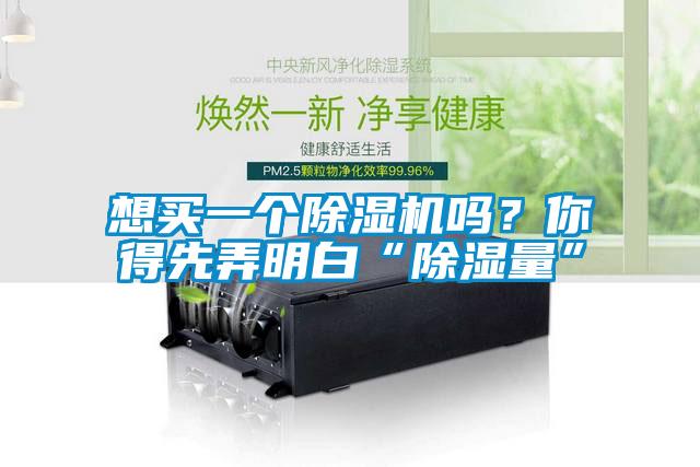 想買一個除濕機嗎？你得先弄明白“除濕量”
