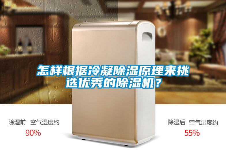 怎樣根據冷凝除濕原理來挑選優秀的除濕機？