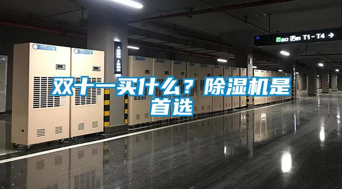 雙十一買什么?除濕機(jī)是首選