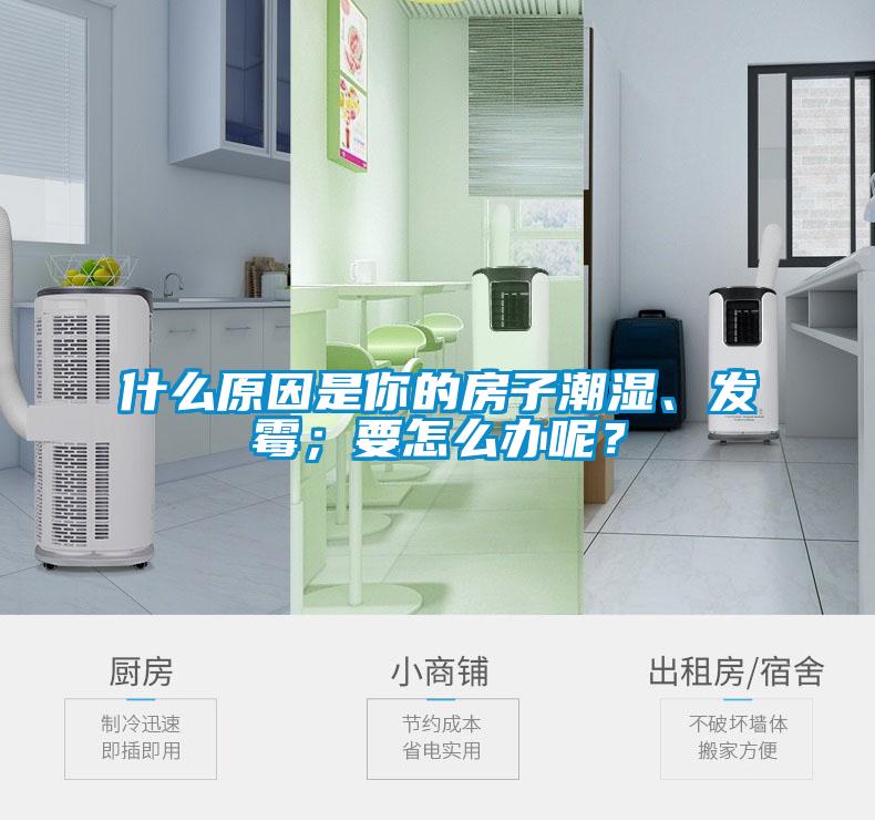 什么原因是你的房子潮濕、發(fā)霉;要怎么辦呢?