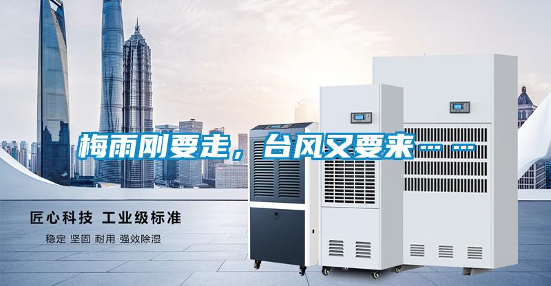 梅雨剛要走,臺風又要來……