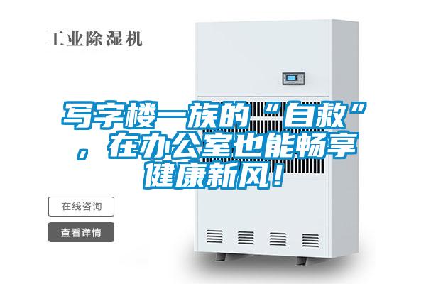 寫字樓一族的“自救”,在辦公室也能暢享健康新風!