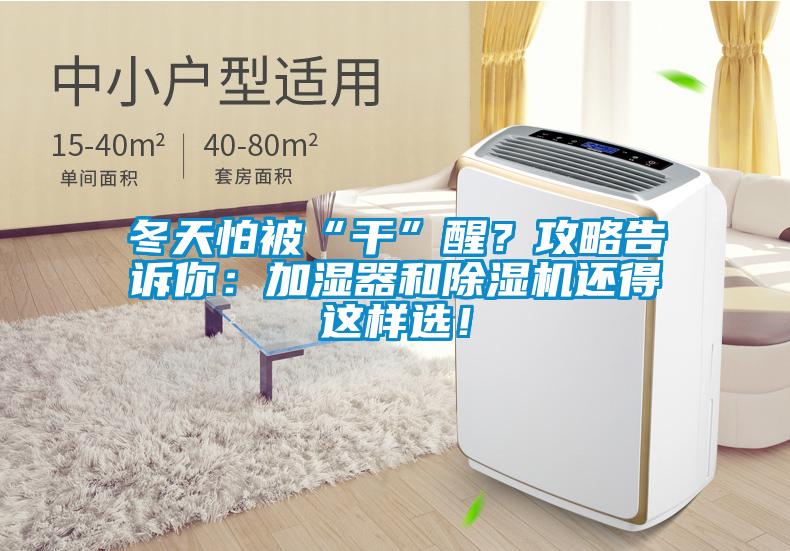 冬天怕被“干”醒？攻略告訴你：加濕器和除濕機(jī)還得這樣選！