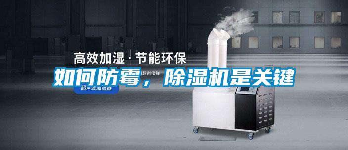 如何防霉,除濕機是關鍵