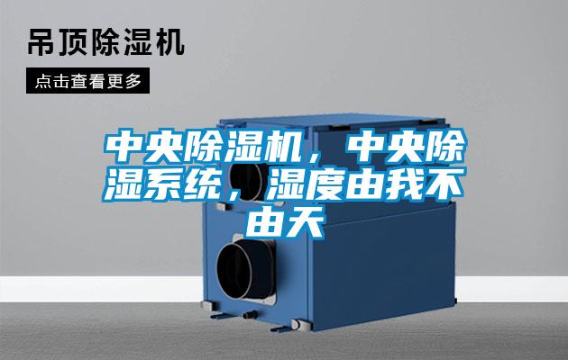 中央除濕機，中央除濕系統(tǒng)，濕度由我不由天