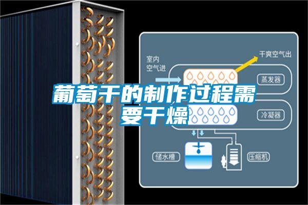 葡萄干的制作過(guò)程需要干燥