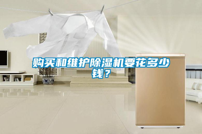 購買和維護除濕機要花多少錢？