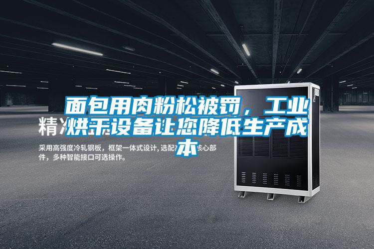 面包用肉粉松被罰，工業(yè)烘干設(shè)備讓您降低生產(chǎn)成本