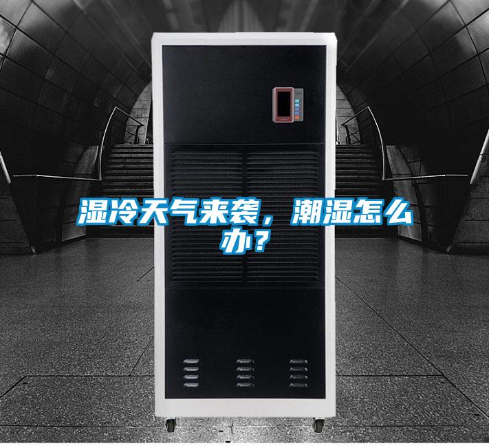 濕冷天氣來襲,潮濕怎么辦?