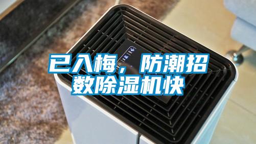 已入梅,防潮招數除濕機快