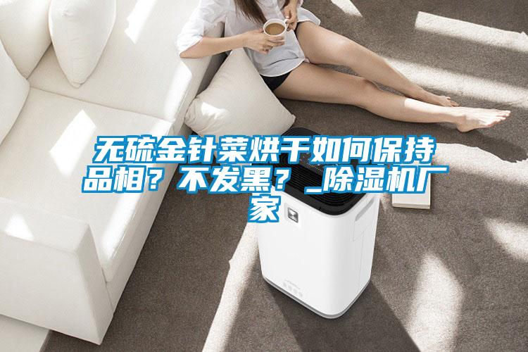 無硫金針菜烘干如何保持品相？不發(fā)黑？_除濕機廠家