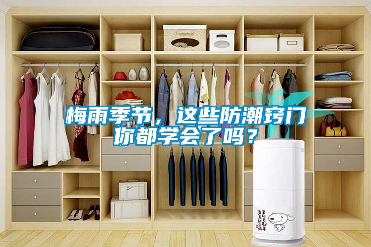 梅雨季節,這些防潮竅門你都學會了嗎?