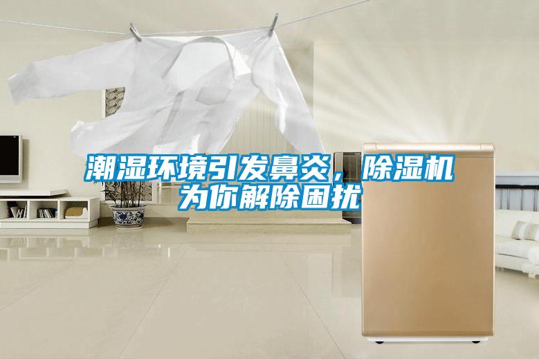 潮濕環境引發鼻炎,除濕機為你解除困擾