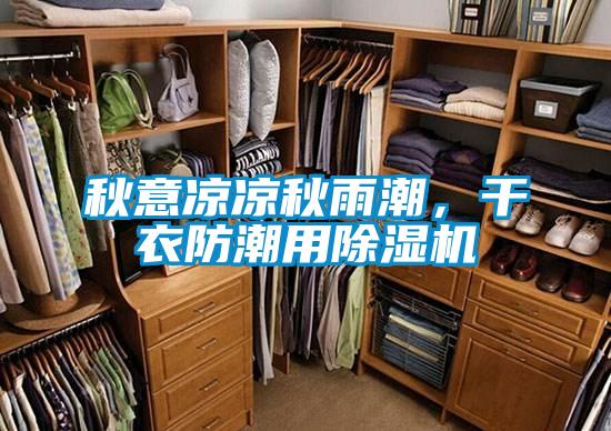 秋意涼涼秋雨潮,干衣防潮用除濕機