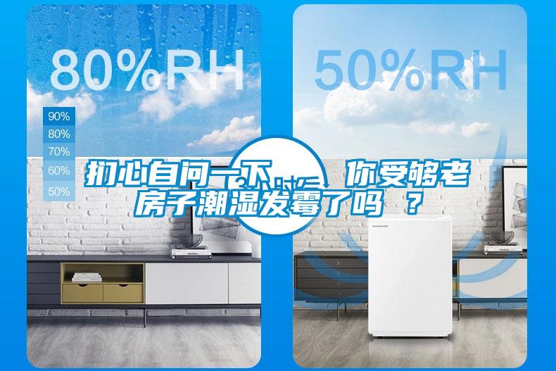 捫心自問一下 ， 你受夠老房子潮濕發霉了嗎 ？