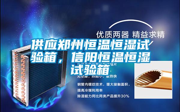 供應(yīng)鄭州恒溫恒濕試驗箱,信陽恒溫恒濕試驗箱