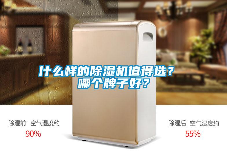 什么樣的除濕機值得選? 哪個牌子好?