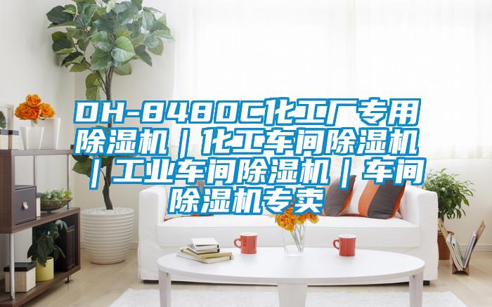 DH-8480C化工廠專(zhuān)用除濕機(jī)｜化工車(chē)間除濕機(jī)｜工業(yè)車(chē)間除濕機(jī)｜車(chē)間除濕機(jī)專(zhuān)賣(mài)