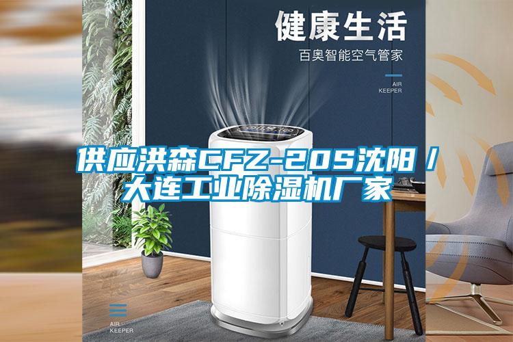 供應洪森CFZ-20S沈陽/大連工業(yè)除濕機廠家
