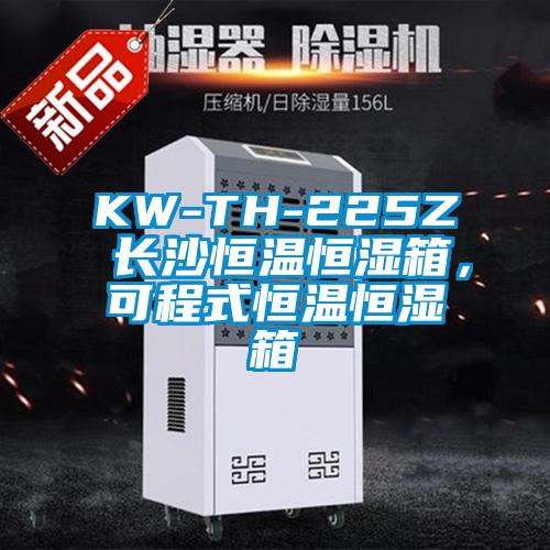 KW-TH-225Z 長沙恒溫恒濕箱，可程式恒溫恒濕箱