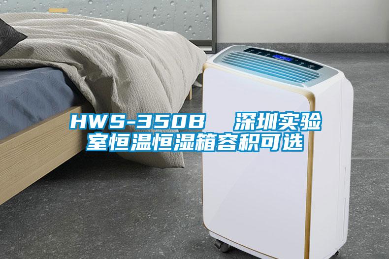 HWS-350B 深圳實驗室恒溫恒濕箱容積可選