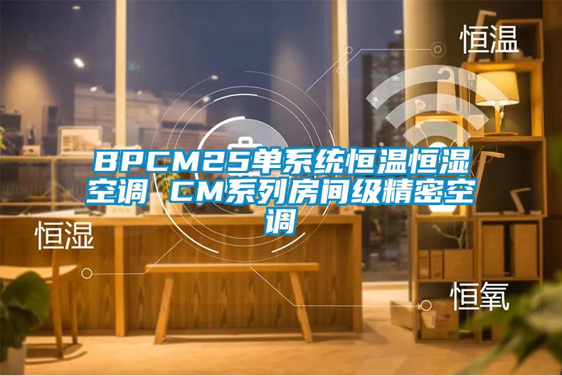BPCM25單系統恒溫恒濕空調 CM系列房間級精密空調