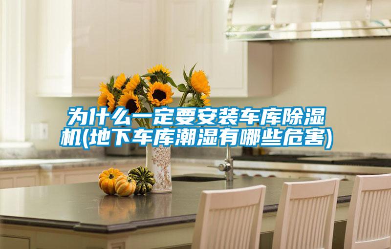 為什么一定要安裝車庫(kù)除濕機(jī)(地下車庫(kù)潮濕有哪些危害)