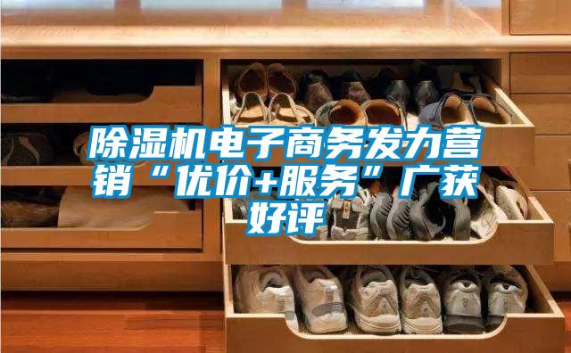 除濕機(jī)電子商務(wù)發(fā)力營銷“優(yōu)價+服務(wù)”廣獲好評