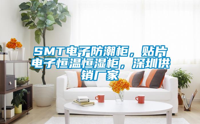 SMT電子防潮柜，貼片電子恒溫恒濕柜，深圳供銷廠家