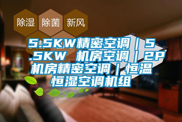 5.5KW精密空調(diào)|5.5KW 機(jī)房空調(diào)|2P機(jī)房精密空調(diào)|恒溫恒濕空調(diào)機(jī)組